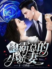 天才萌宝之霸总的小娇妻