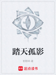 踏天孤影在线阅读