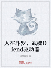 人在斗罗，武魂Diend驱动器