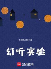 幻听实验在线阅读