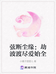 弦断尘缘：劫波渡尽爱始全
