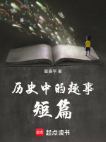 历史中的趣事短篇封面