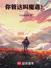 你管这叫魔道