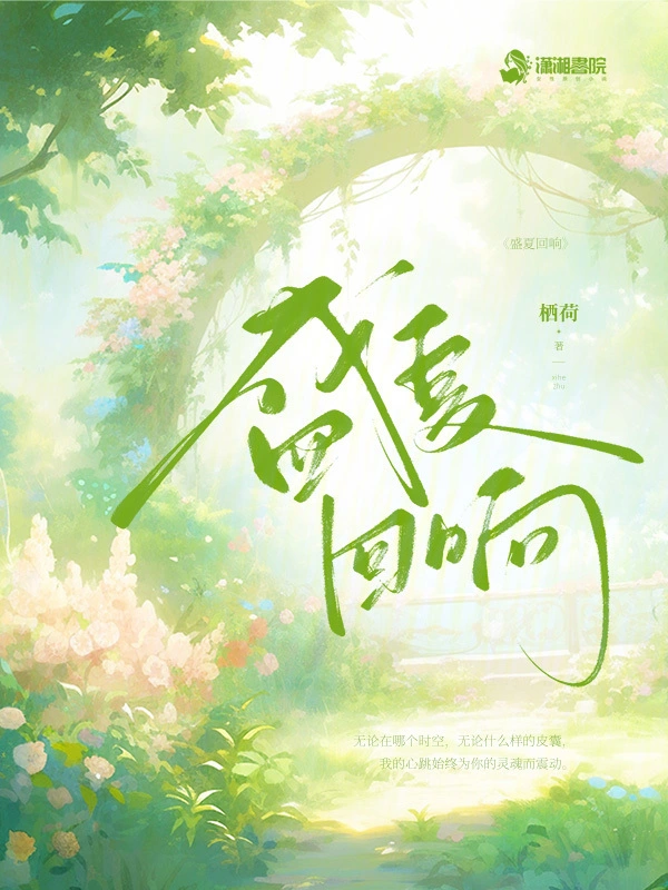 盛夏回响