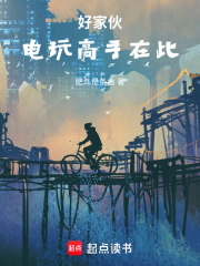 好家伙电玩高手在此在线阅读