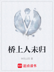 桥上人未归在线阅读