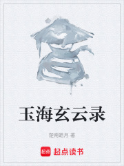 玉海玄云录在线阅读