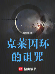 克莱因环的诅咒在线阅读