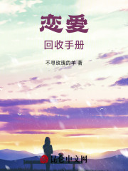 恋爱回收手册在线阅读
