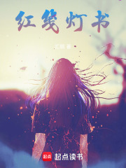 红笺灯书在线阅读
