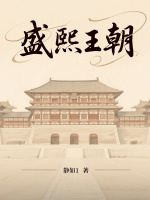 盛熙王朝封面