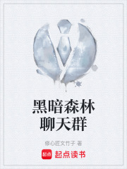 黑暗森林聊天群在线阅读