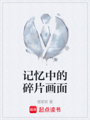 记忆中的碎片画面在线阅读