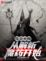 炼金巫师：从解析魔药开始在线阅读