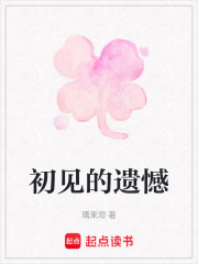 初见的遗憾在线阅读