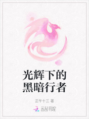 光辉下的黑暗行者