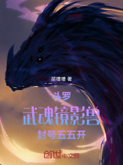 斗罗：武魂镜影兽，封号五五开