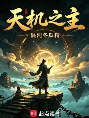 天机之主封面