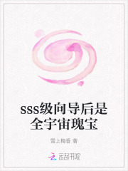 sss级向导后是全宇宙瑰宝