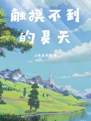 触摸不到的夏天在线阅读