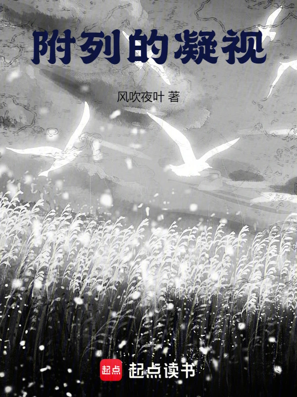 附列的凝视