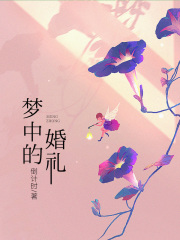 梦中的婚礼在线阅读