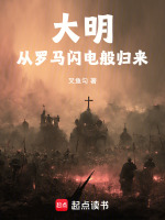 大明：从罗马闪电般归来封面
