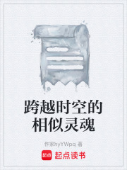 跨越时空的相似灵魂在线阅读
