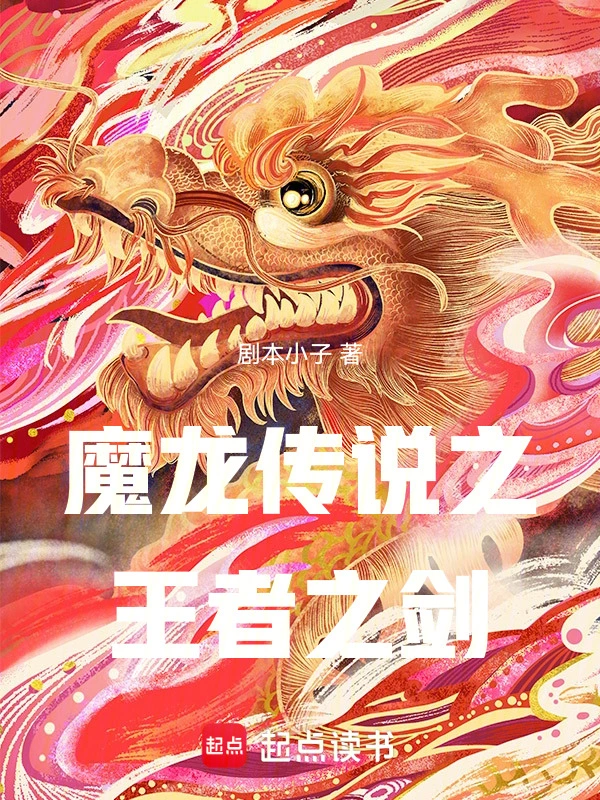 魔龙传说之王者之剑的封面