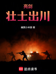 亮剑：我川军入晋，带飞李云龙在线阅读