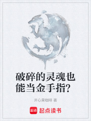 破碎的灵魂也能当金手指？在线阅读