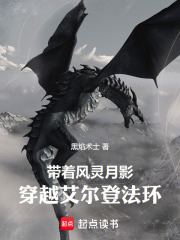 带着风灵月影，穿越艾尔登法环