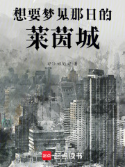 想要梦见那日的莱茵城在线阅读
