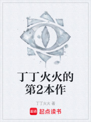 丁丁火火的第2本作在线阅读