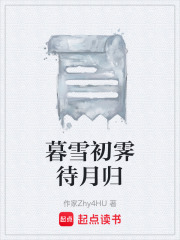 暮雪初霁待月归