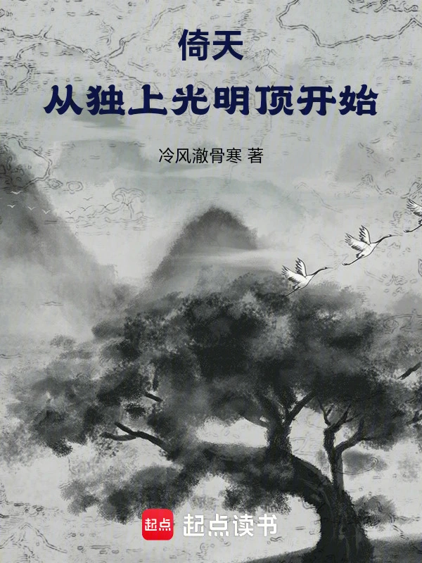 倚天：从独上光明顶开始的封面
