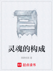 灵魂的构成在线阅读