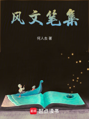 风文笔集在线阅读