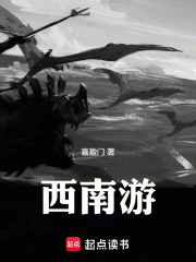西南游在线阅读