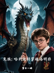 龙族哈利波特