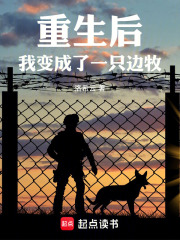 重生后我变成了一只边牧在线阅读