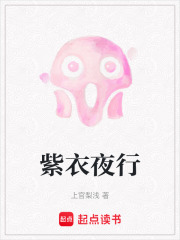 紫衣夜行在线阅读