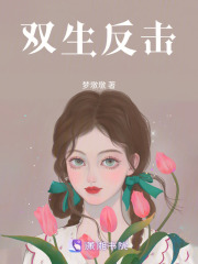双生反击