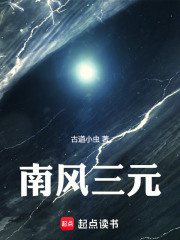 南风三元在线阅读