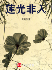 莲光非入在线阅读