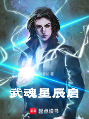 武魂星辰启在线阅读