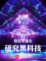 我在华强北研究黑科技封面