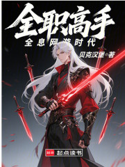 全职高手：全息网游时代