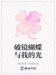 破镜蝴蝶与我的光在线阅读