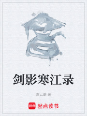 剑影寒江录在线阅读